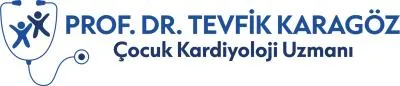 Tevfik Karagöz